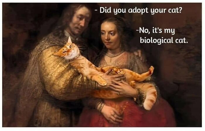 If You Live With A Cat, These 51 Funny Memes Shared By This Page Might Feel A Little Too Familiar If You Live With A Cat, These 51 Funny Memes Shared By This Page Might Feel A Little Too Familiar