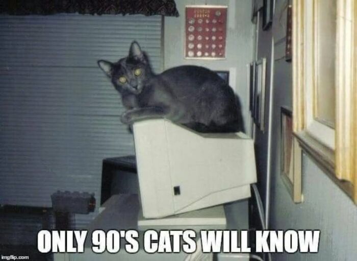 If You Live With A Cat, These 51 Funny Memes Shared By This Page Might Feel A Little Too Familiar If You Live With A Cat, These 51 Funny Memes Shared By This Page Might Feel A Little Too Familiar