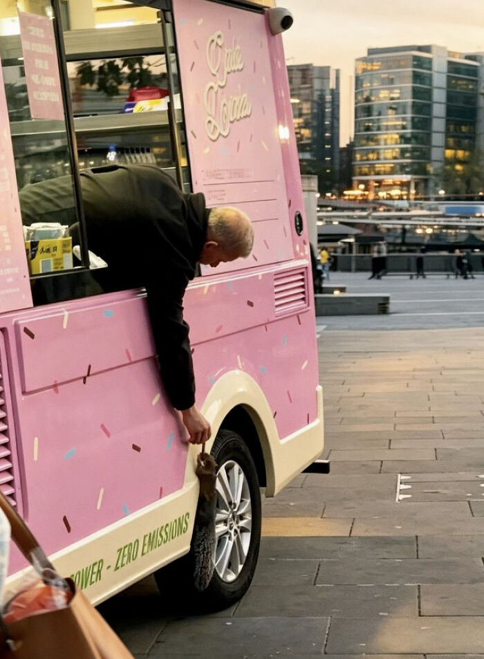 London Ice Cream Van Owner Forms Unlikely Friendship With Local Tower Bridge Squirrel London Ice Cream Van Owner Forms Unlikely Friendship With Local Tower Bridge Squirrel