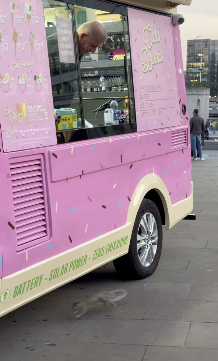 London Ice Cream Van Owner Forms Unlikely Friendship With Local Tower Bridge Squirrel London Ice Cream Van Owner Forms Unlikely Friendship With Local Tower Bridge Squirrel