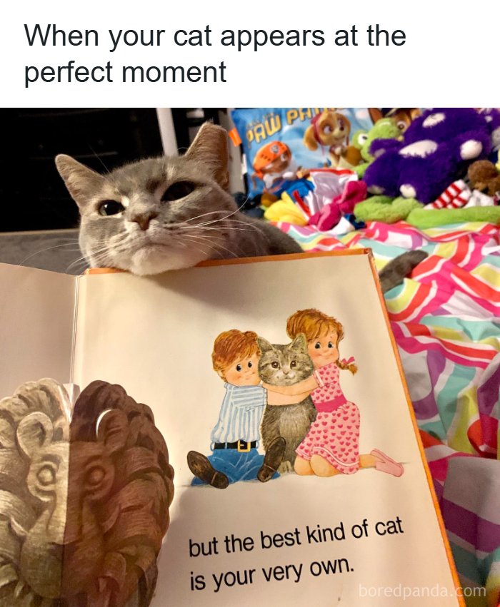 80 Wholesome Memes That Might Make The Internet A Little Less Miserable (New Pics)