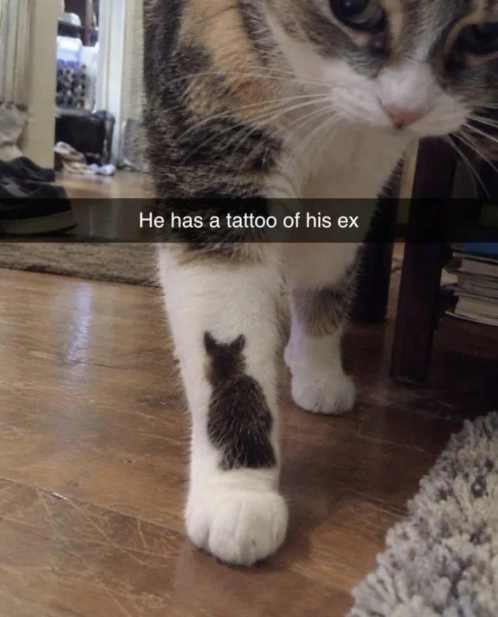 80 Wholesome Memes That Might Make The Internet A Little Less Miserable (New Pics)