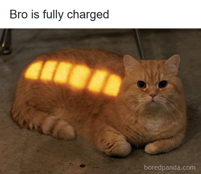 80 Wholesome Memes That Might Make The Internet A Little Less Miserable (New Pics)