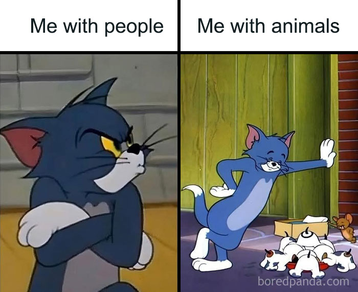 80 Wholesome Memes That Might Make The Internet A Little Less Miserable (New Pics)