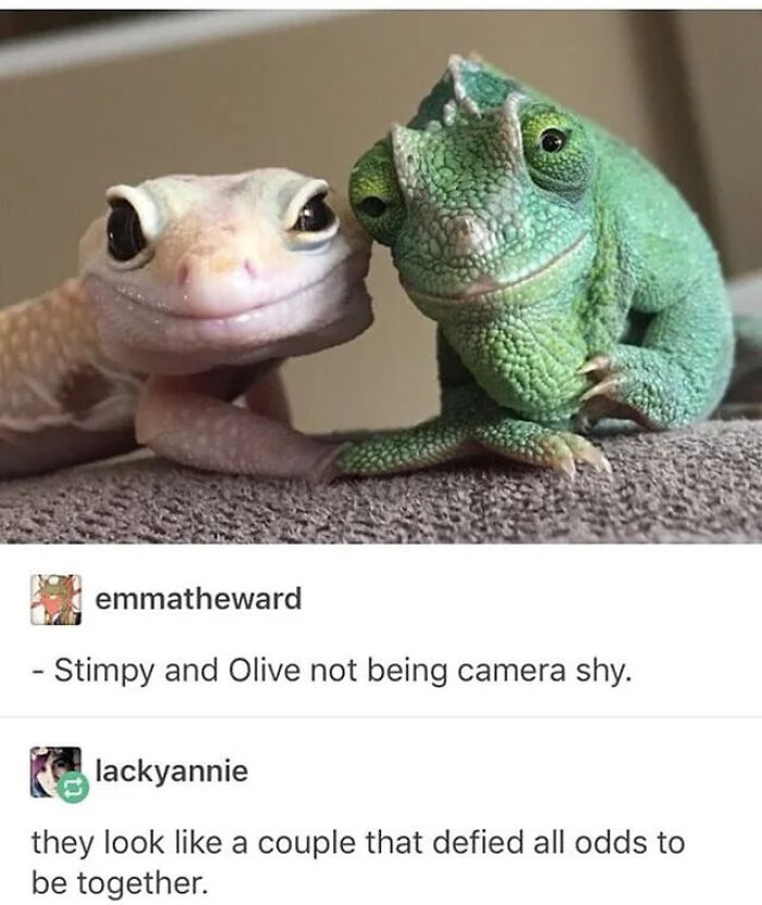 80 Wholesome Memes That Might Make The Internet A Little Less Miserable (New Pics)