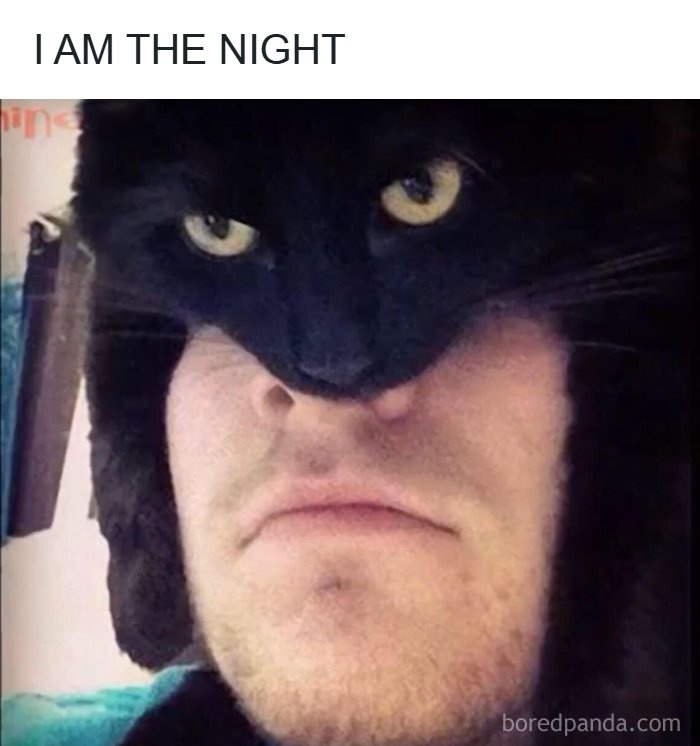 80 Wholesome Memes That Might Make The Internet A Little Less Miserable (New Pics)