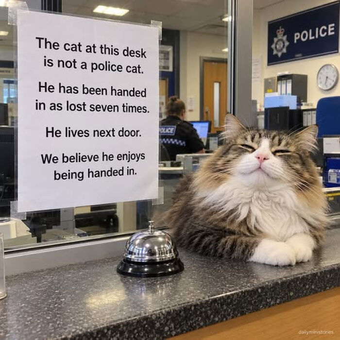 80 Wholesome Memes That Might Make The Internet A Little Less Miserable (New Pics)