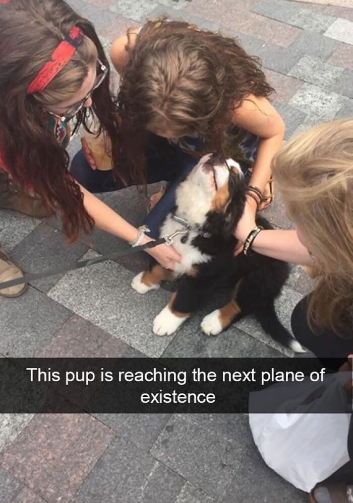 80 Wholesome Memes That Might Make The Internet A Little Less Miserable (New Pics)