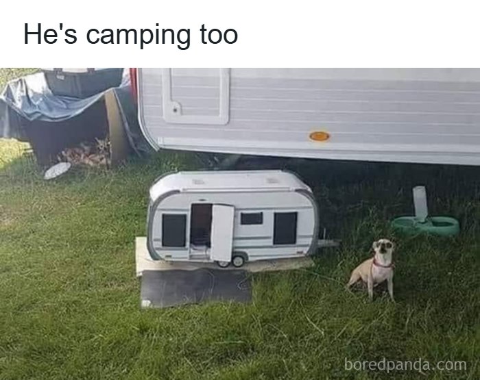 80 Wholesome Memes That Might Make The Internet A Little Less Miserable (New Pics)