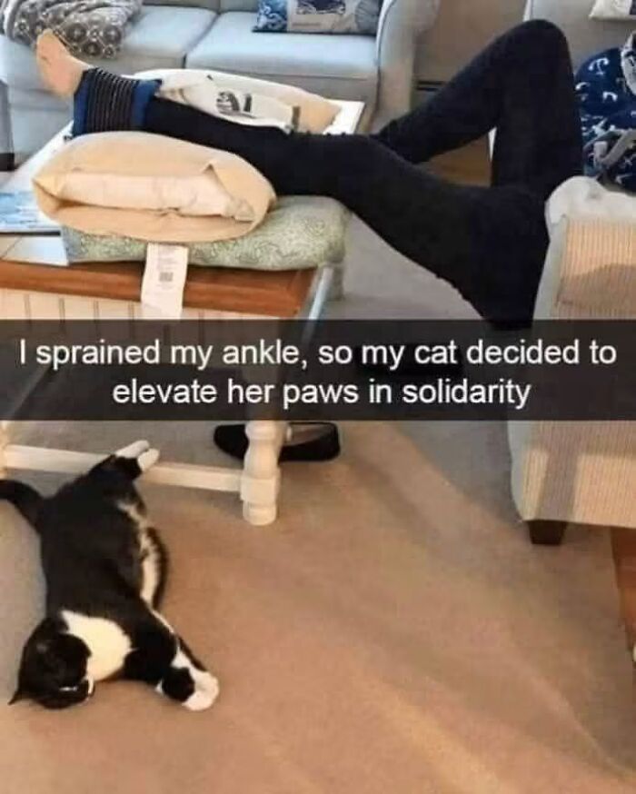 80 Wholesome Memes That Might Make The Internet A Little Less Miserable (New Pics)