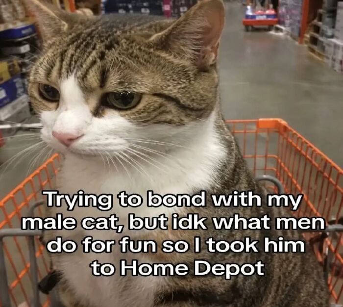80 Wholesome Memes That Might Make The Internet A Little Less Miserable (New Pics)