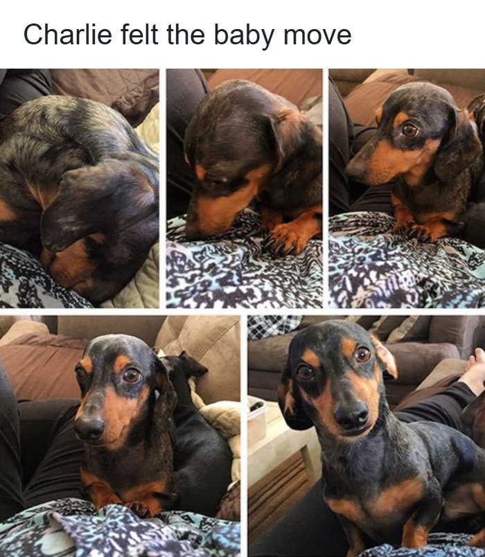 80 Wholesome Memes That Might Make The Internet A Little Less Miserable (New Pics)