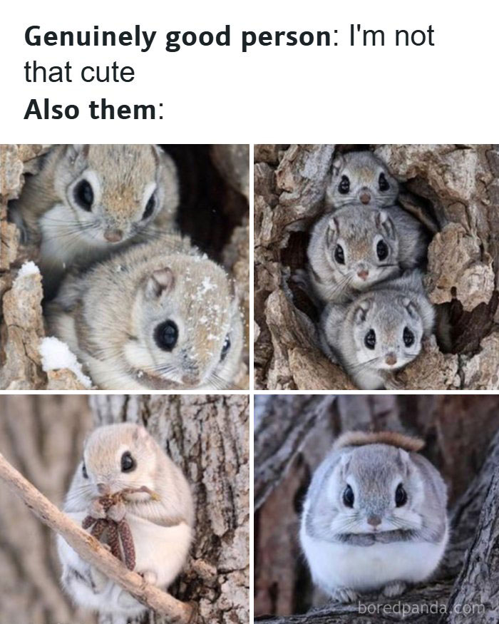 80 Wholesome Memes That Might Make The Internet A Little Less Miserable (New Pics)