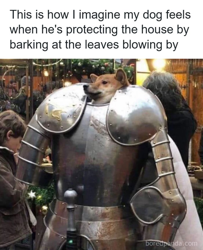 80 Wholesome Memes That Might Make The Internet A Little Less Miserable (New Pics)