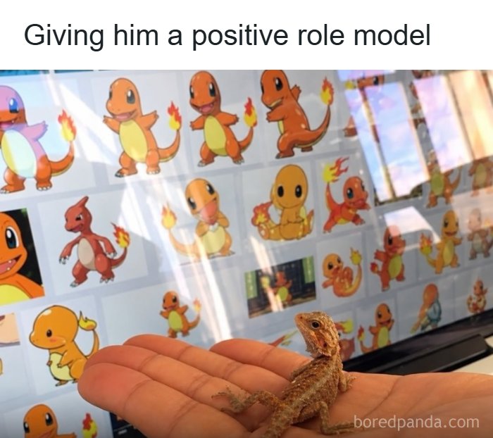 80 Wholesome Memes That Might Make The Internet A Little Less Miserable (New Pics)
