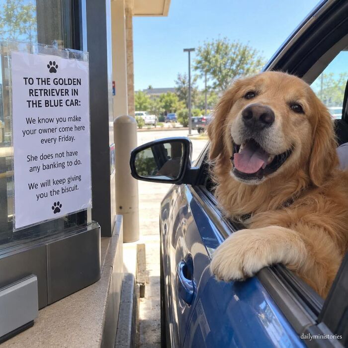80 Wholesome Memes That Might Make The Internet A Little Less Miserable (New Pics)