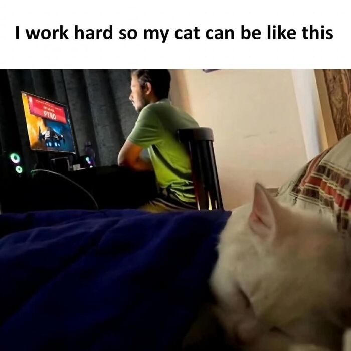 80 Wholesome Memes That Might Make The Internet A Little Less Miserable (New Pics)