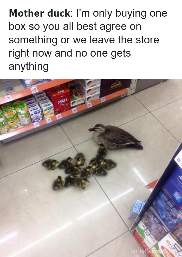 80 Wholesome Memes That Might Make The Internet A Little Less Miserable (New Pics)