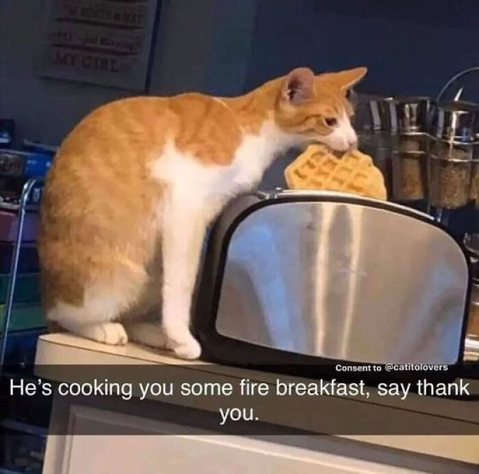 80 Wholesome Memes That Might Make The Internet A Little Less Miserable (New Pics)