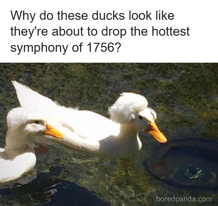 80 Wholesome Memes That Might Make The Internet A Little Less Miserable (New Pics)