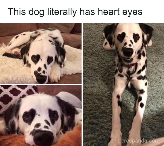 80 Wholesome Memes That Might Make The Internet A Little Less Miserable (New Pics)