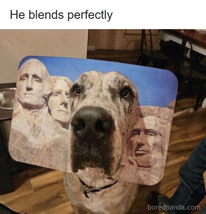 80 Wholesome Memes That Might Make The Internet A Little Less Miserable (New Pics)