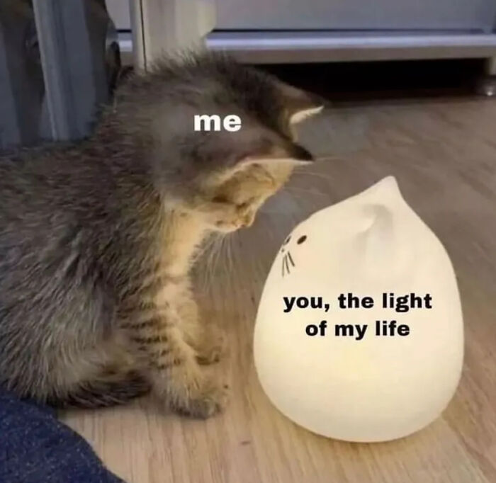 80 Wholesome Memes That Might Make The Internet A Little Less Miserable (New Pics)