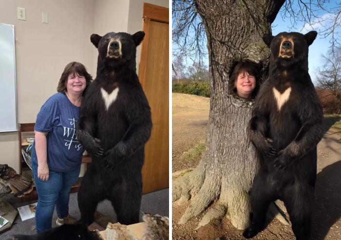 46 Times This Photoshopper Refused To Give People What They Want, And It Resulted In Hilarious Results (New Pics)