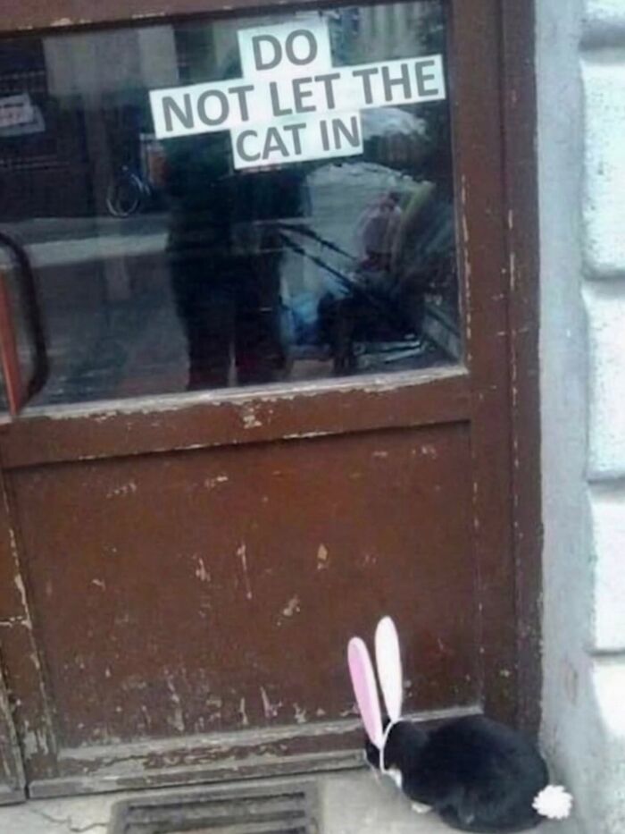61 Hilarious Memes That Are Funny Because They’re Taken From Real Life 61 Hilarious Memes That Are Funny Because They’re Taken From Real Life