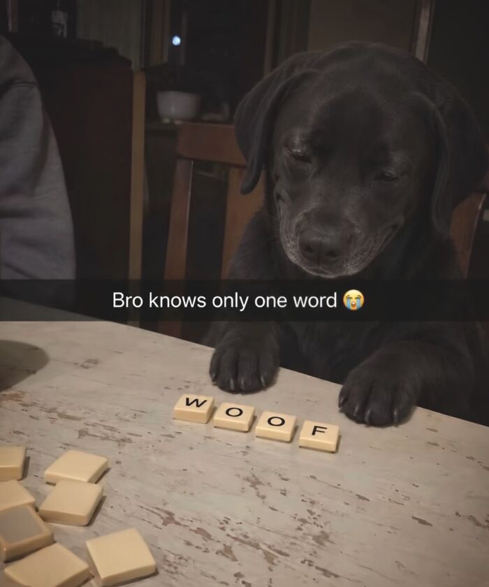 61 Hilarious Memes That Are Funny Because They’re Taken From Real Life 61 Hilarious Memes That Are Funny Because They’re Taken From Real Life