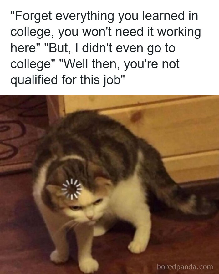 73 Job-Hunting Stories And Memes That Prove Getting Hired Has Become A Full-Time Job 73 Job-Hunting Stories And Memes That Prove Getting Hired Has Become A Full-Time Job