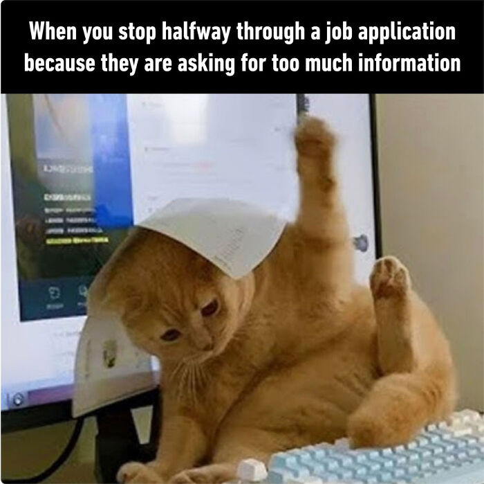 73 Job-Hunting Stories And Memes That Prove Getting Hired Has Become A Full-Time Job 73 Job-Hunting Stories And Memes That Prove Getting Hired Has Become A Full-Time Job