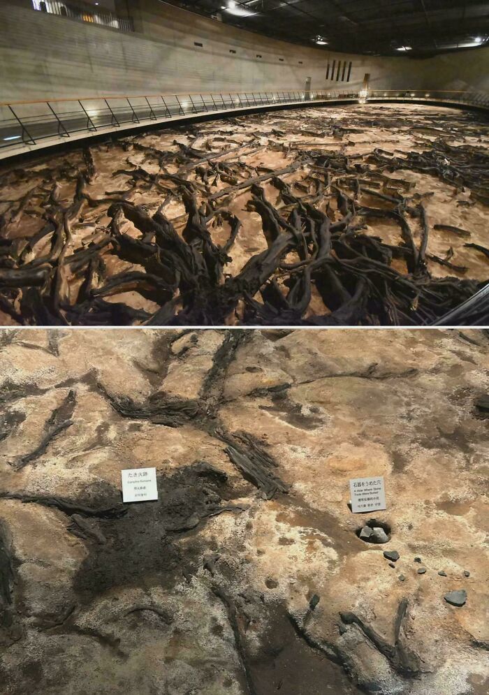 60 Incredible And Interesting Historical Finds That Left People Staring In Disbelief (New Pics) 60 Incredible And Interesting Historical Finds That Left People Staring In Disbelief (New Pics)