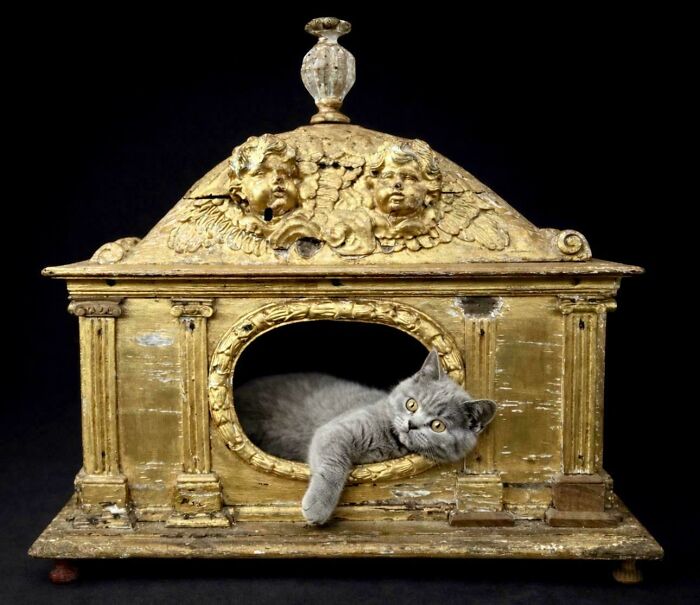 60 Incredible And Interesting Historical Finds That Left People Staring In Disbelief (New Pics) 60 Incredible And Interesting Historical Finds That Left People Staring In Disbelief (New Pics)