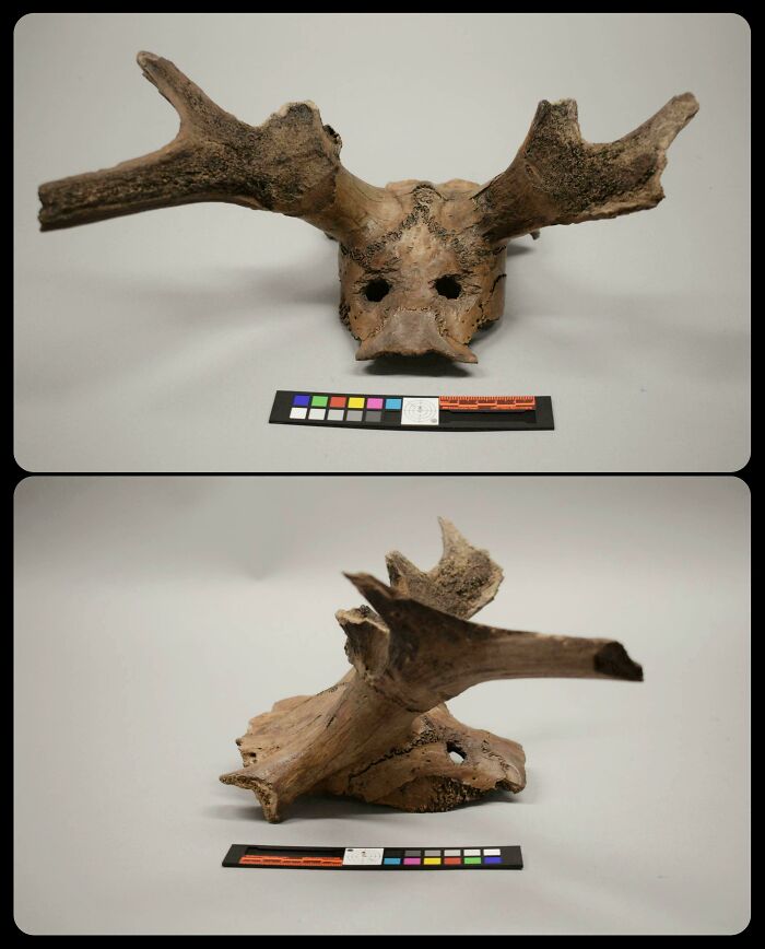 60 Incredible And Interesting Historical Finds That Left People Staring In Disbelief (New Pics) 60 Incredible And Interesting Historical Finds That Left People Staring In Disbelief (New Pics)
