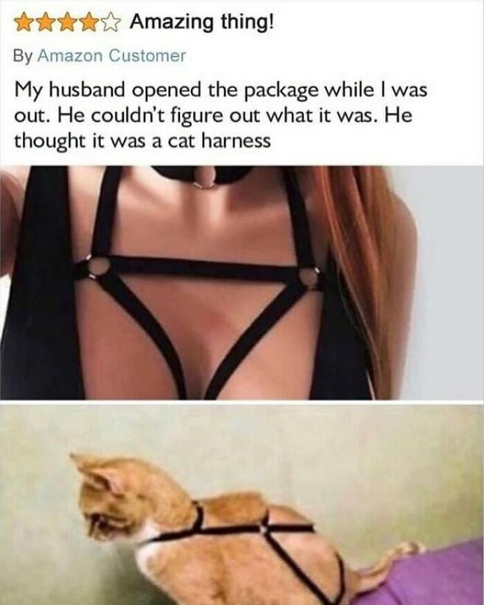 61 Product Reviews That Turned Ordinary Shopping Into An Unexpected Comedy Show 61 Product Reviews That Turned Ordinary Shopping Into An Unexpected Comedy Show