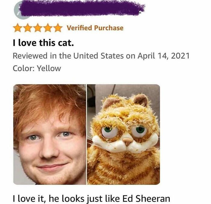 61 Product Reviews That Turned Ordinary Shopping Into An Unexpected Comedy Show 61 Product Reviews That Turned Ordinary Shopping Into An Unexpected Comedy Show