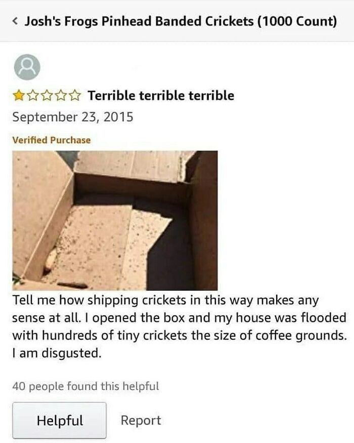 61 Product Reviews That Turned Ordinary Shopping Into An Unexpected Comedy Show 61 Product Reviews That Turned Ordinary Shopping Into An Unexpected Comedy Show