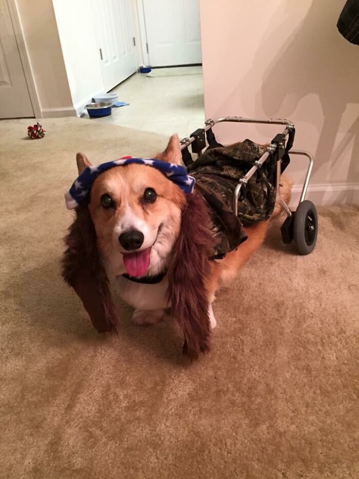 67 Creative And Hilarious People With Disabilities Who Won Halloween