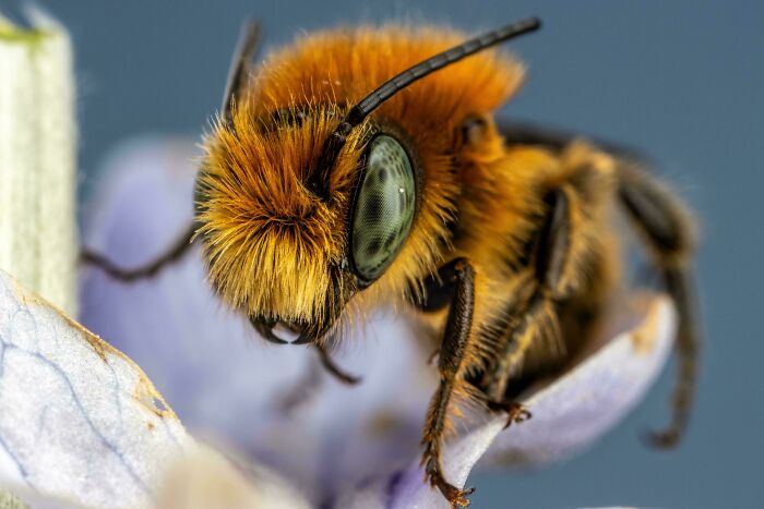74 Amazing And Beautiful Photos That Might Make You Appreciate Animals Even More (New Pics)