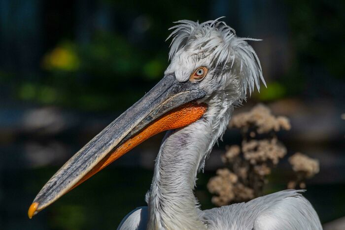 74 Amazing And Beautiful Photos That Might Make You Appreciate Animals Even More (New Pics)