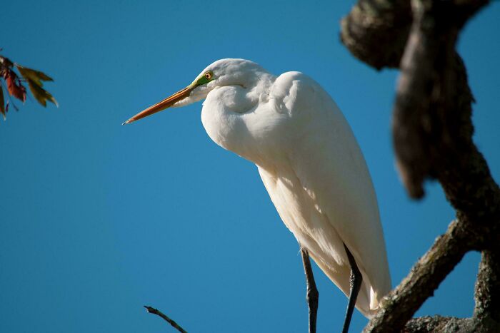74 Amazing And Beautiful Photos That Might Make You Appreciate Animals Even More (New Pics)