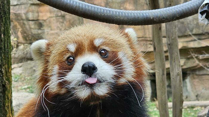 74 Amazing And Beautiful Photos That Might Make You Appreciate Animals Even More (New Pics)