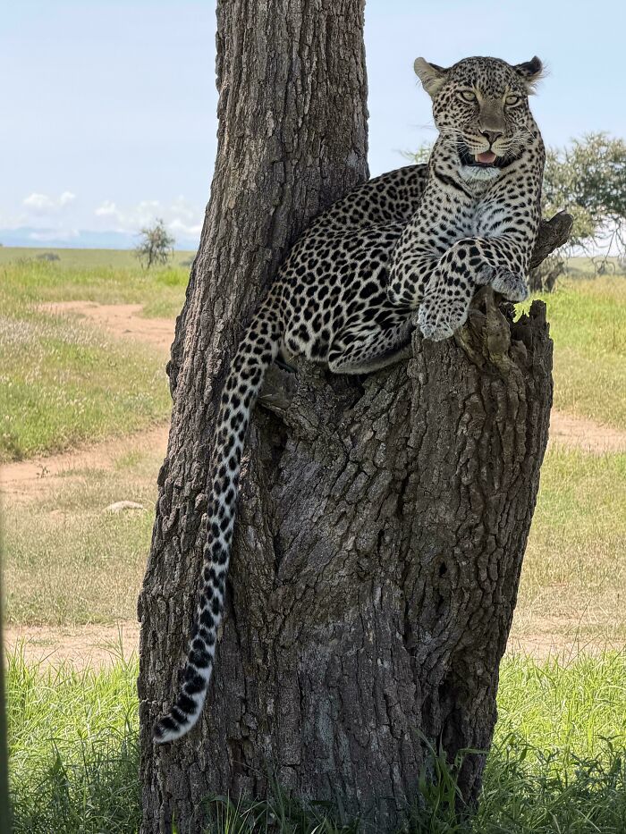 74 Amazing And Beautiful Photos That Might Make You Appreciate Animals Even More (New Pics)