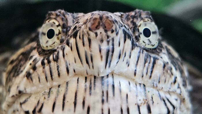 74 Amazing And Beautiful Photos That Might Make You Appreciate Animals Even More (New Pics)