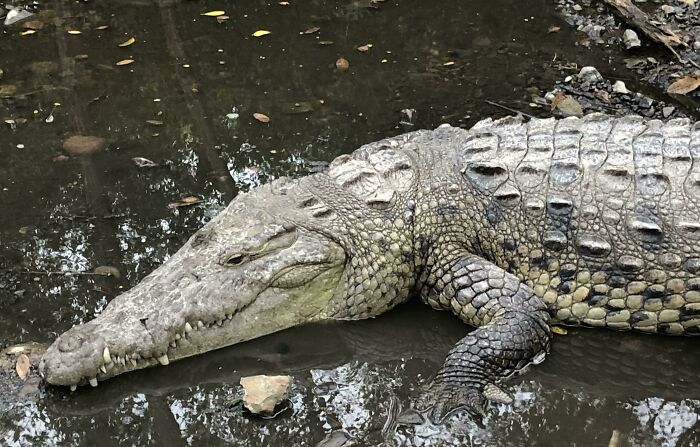 74 Amazing And Beautiful Photos That Might Make You Appreciate Animals Even More (New Pics)