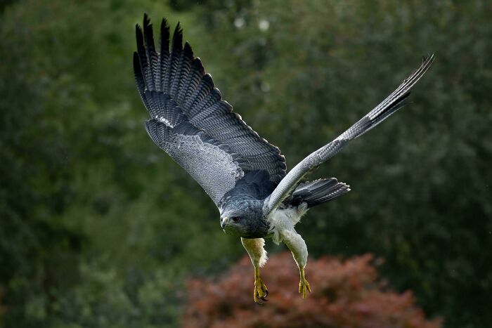 74 Amazing And Beautiful Photos That Might Make You Appreciate Animals Even More (New Pics)