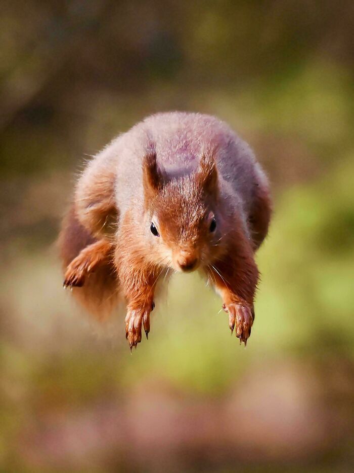 74 Amazing And Beautiful Photos That Might Make You Appreciate Animals Even More (New Pics)