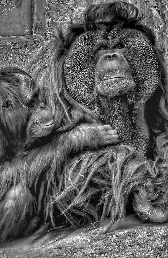 74 Amazing And Beautiful Photos That Might Make You Appreciate Animals Even More (New Pics)