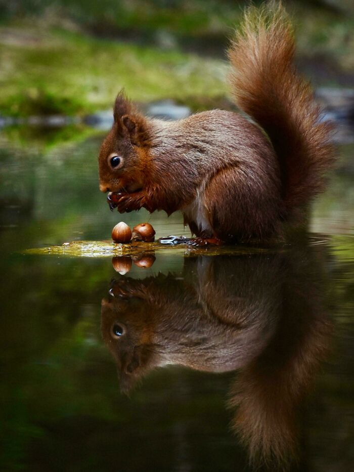 74 Amazing And Beautiful Photos That Might Make You Appreciate Animals Even More (New Pics)